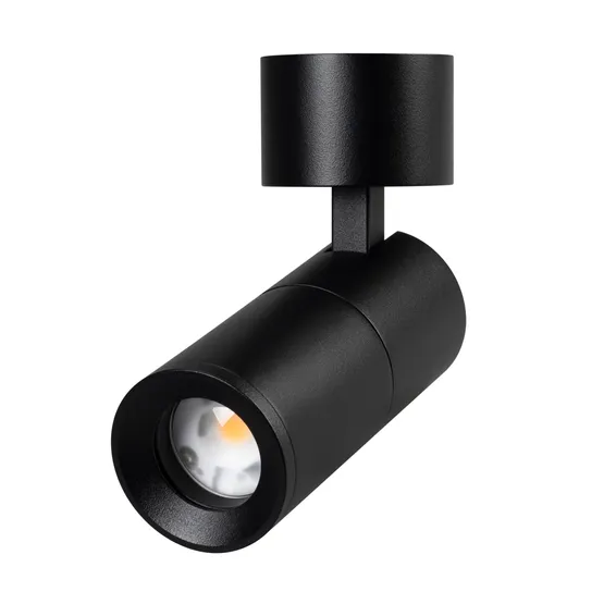 Фото #1 товара Светильник SP-ARTEMIS-SURFACE-FLAP-R55-12W Warm2700 (BK, 8-80 deg, 230V) (Arlight, IP20 Металл, 5 лет)