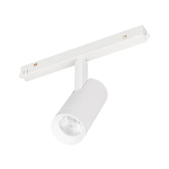 Фото #1 товара Светильник MAG-ORIENT-SPOT-R45-12W Day4000 (WH, 36 deg, 48V) (Arlight, IP20 Металл, 5 лет)
