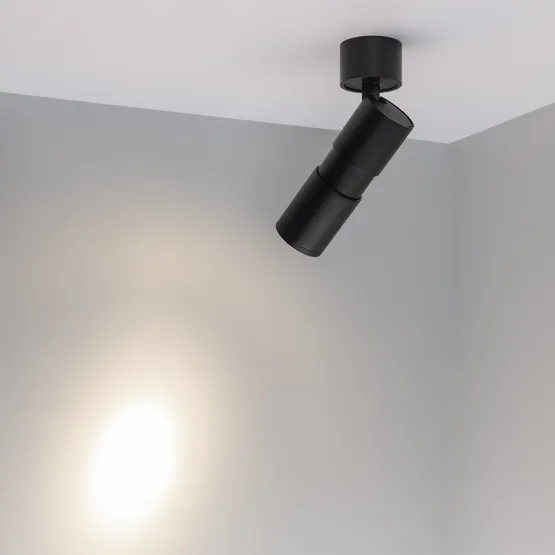 Фото #2 товара Светильник SP-ARTEMIS-SURFACE-FLAP-R55-12W Day4000 (BK, 8-80 deg, 230V) (Arlight, IP20 Металл, 5 лет)