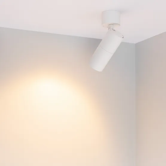 Фото #2 товара Светильник SP-ARTEMIS-SURFACE-FLAP-R55-12W Warm2700 (WH, 8-80 deg, 230V) (Arlight, IP20 Металл, 5 лет)