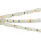 Минифото #2 товара Светодиодная лента герметичная RTW-SE-B60-10mm 24V White6000 (14.4 W/m, IP65, 5m) (Arlight, -)